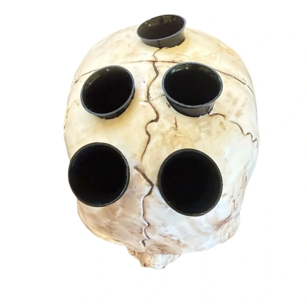 Skull with 5 vials for shots EUC Decor